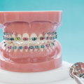 What Experience is Needed to Maintain Orthodontist Certification?